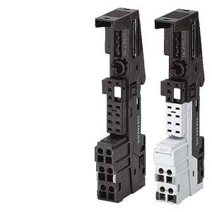 Tm-E15C24-01 F. Em/Spring Clam