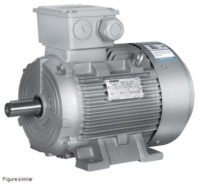 Motor 2P 3000 Rpm 3Kw/4Cv