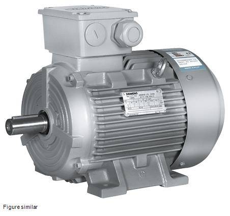 Motor 2P 3000 Rpm 18.5Kw/25Cv