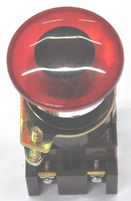 Bot Luminosa D22 3400 Roja Aea