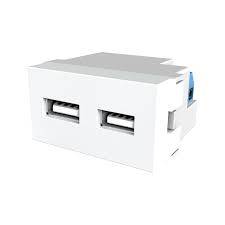 Toma Usb Doble Marfil