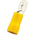 Terminal Aisl Amar C16 Lct