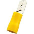 Terminal Aisl Amar C16 Lct