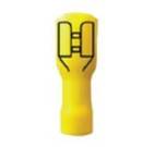 Terminal Aisl Amar C17 Lct