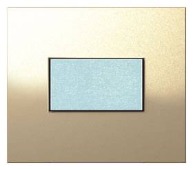 Tapa Platinum 5X5Cm 1Mod Champ